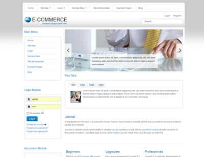 ecommerce